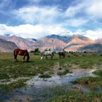 6 Unknown but Beautiful Places Of Incredible India