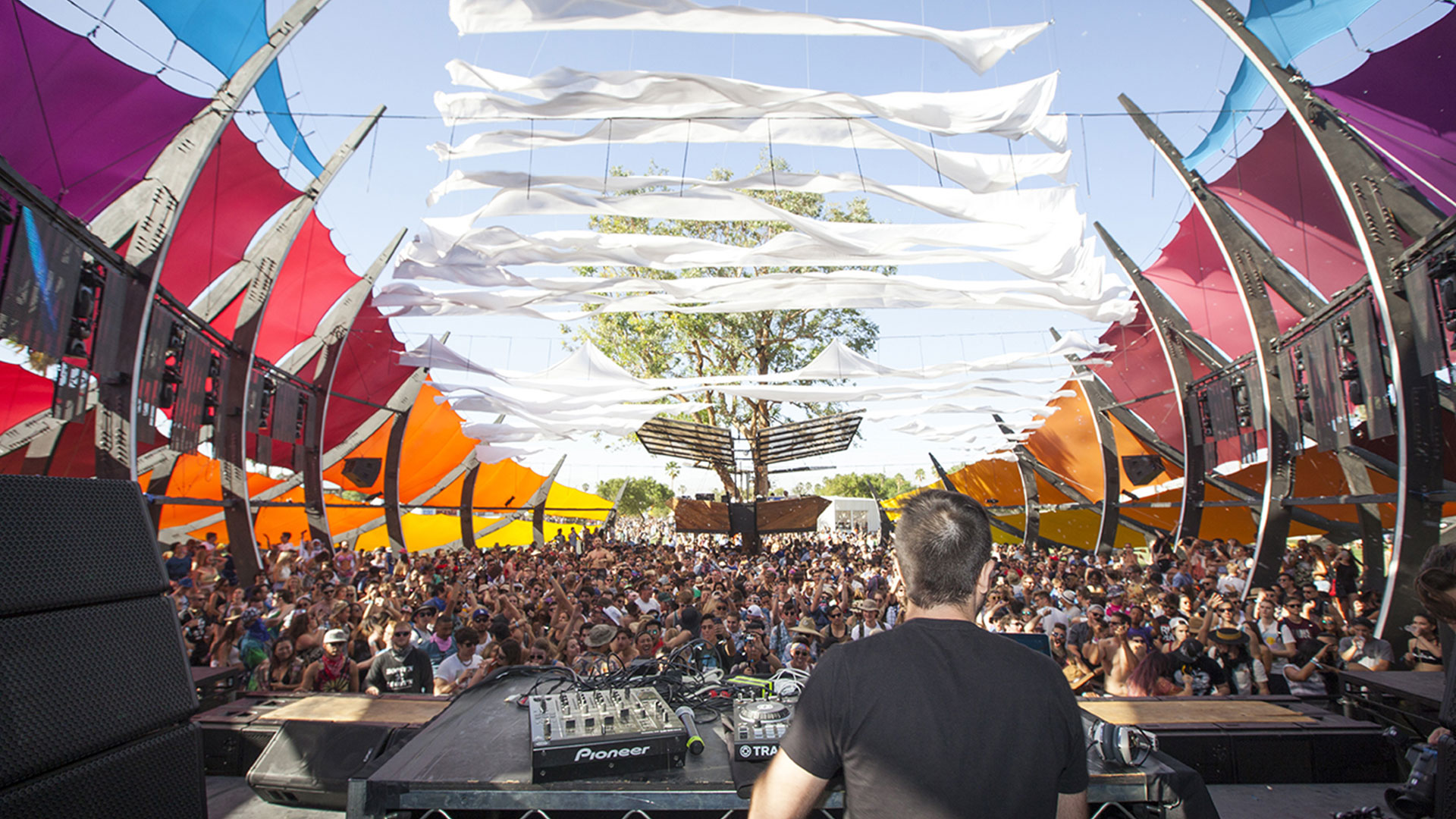 Music Festivals @PeakLife