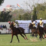 Northern Polo @PeakLife