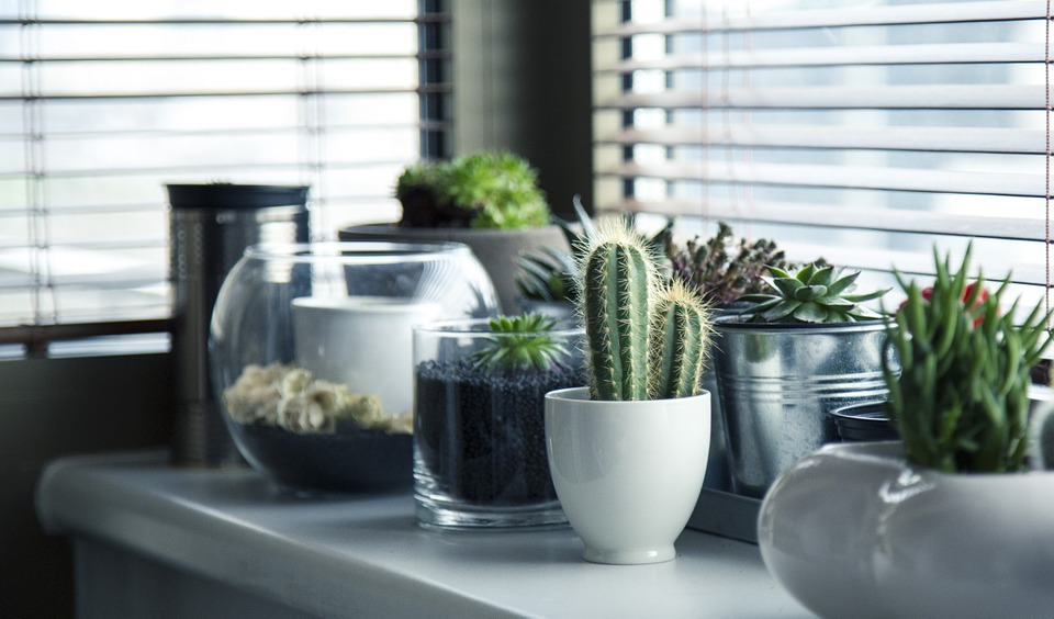 pots at home