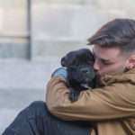 De-stress your mind with Therapy dog service available at your doorstep!