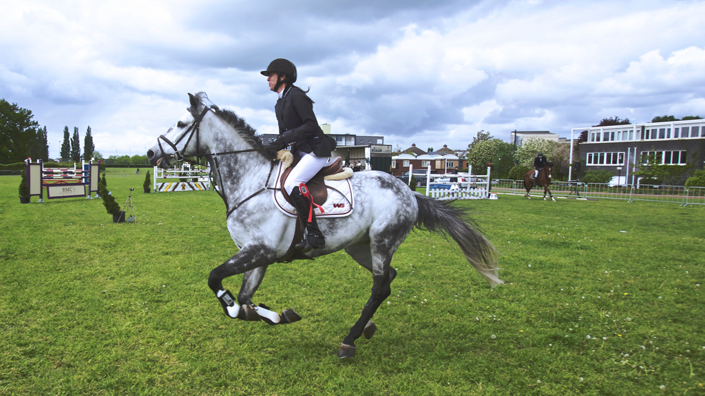 animal-equestrianism-horse _PeaklifeLead