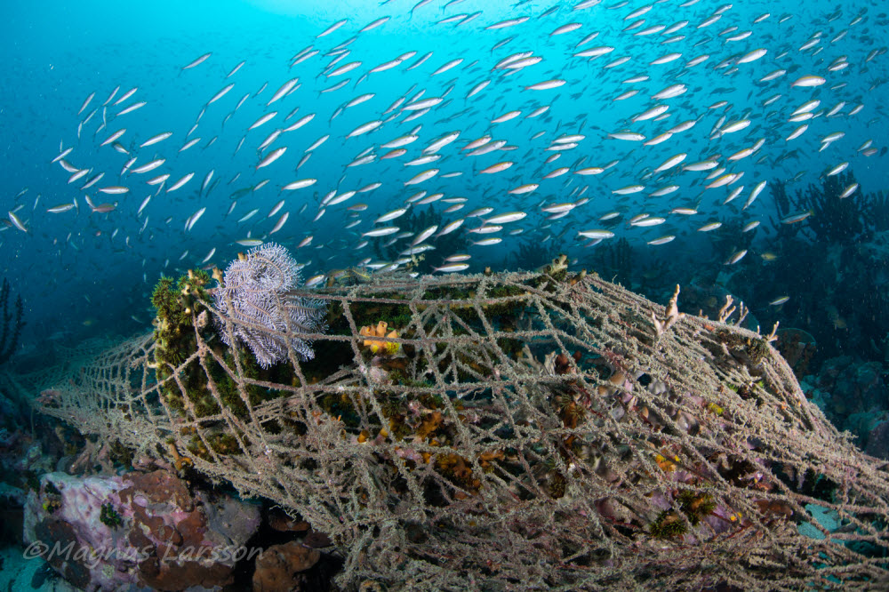 Ghost Net Lead
