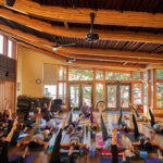 Where to detox in California ?