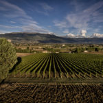 MONTEFALCO: UMBRIA’S EXALTED BALCONY