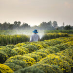 Can AgriTech Be The Most Formidable Driver of the Supply Chain?