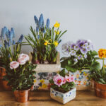 5 Eco-Conscious Gift Ideas for the Wedding Season