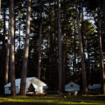 California’s Top Glamping Destinations to Enjoy Luxury in the Wild