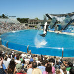 California’s New Season of Adventures and Theme Parks