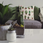 3 Ways to Make Your Home More Eco-Friendly and Efficient