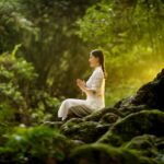 The Healing Power of Forest Bathing Nurturing Well-Being Through Nature's Embrace-Cover Image