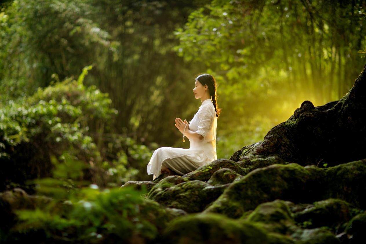 The Healing Power of Forest Bathing Nurturing Well-Being Through Nature's Embrace-Cover Image