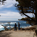 Warm Winter Escapes in California-Cover Image
