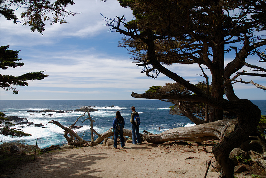 Warm Winter Escapes in California-Cover Image